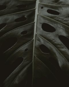 Dlaczego tak trudno stawiać granice w relacjach? To nie jest problem z asertywnością